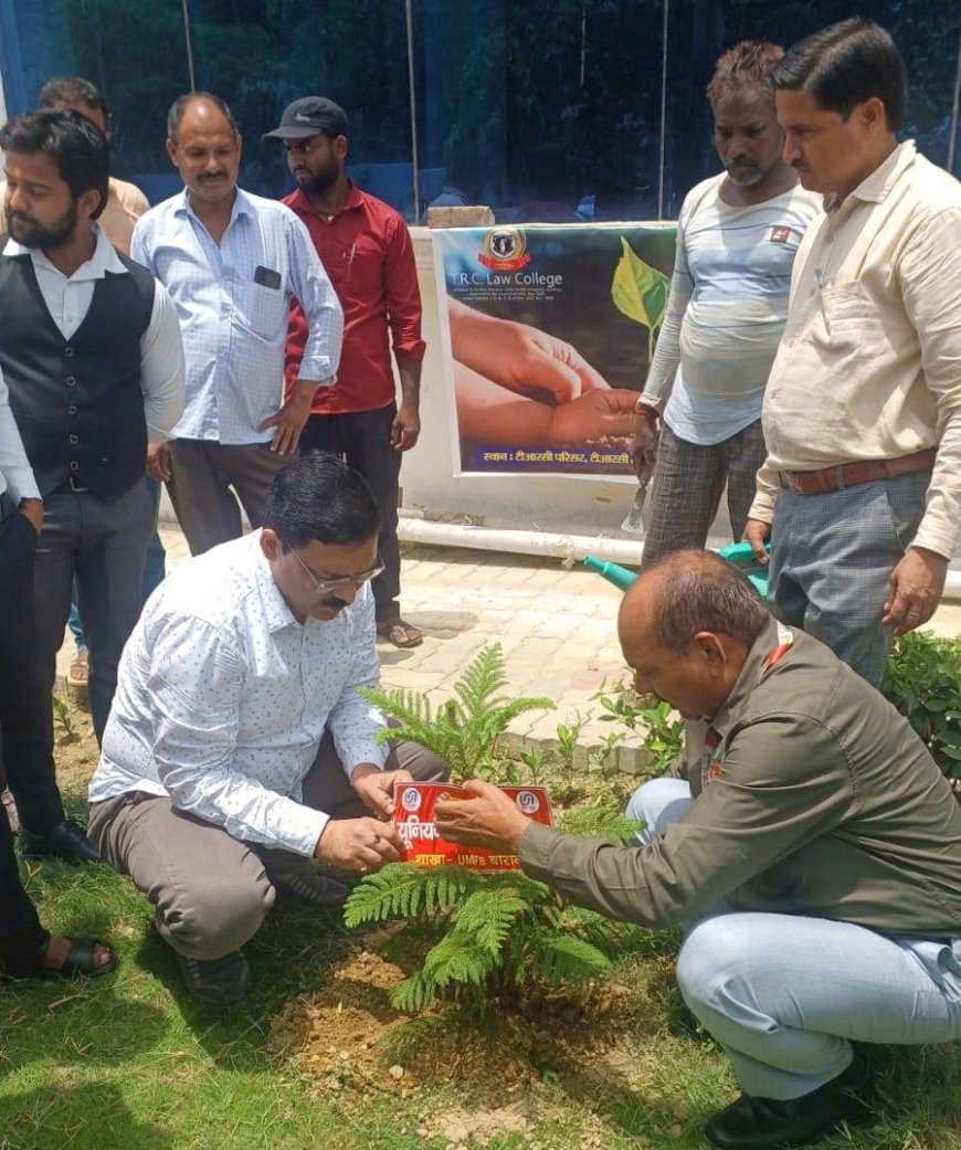 यूनियन बैंक ऑफ इंडिया और कानून के छात्रों ने विश्व पर्यावरण दिवस पर वृक्षारोपण किया